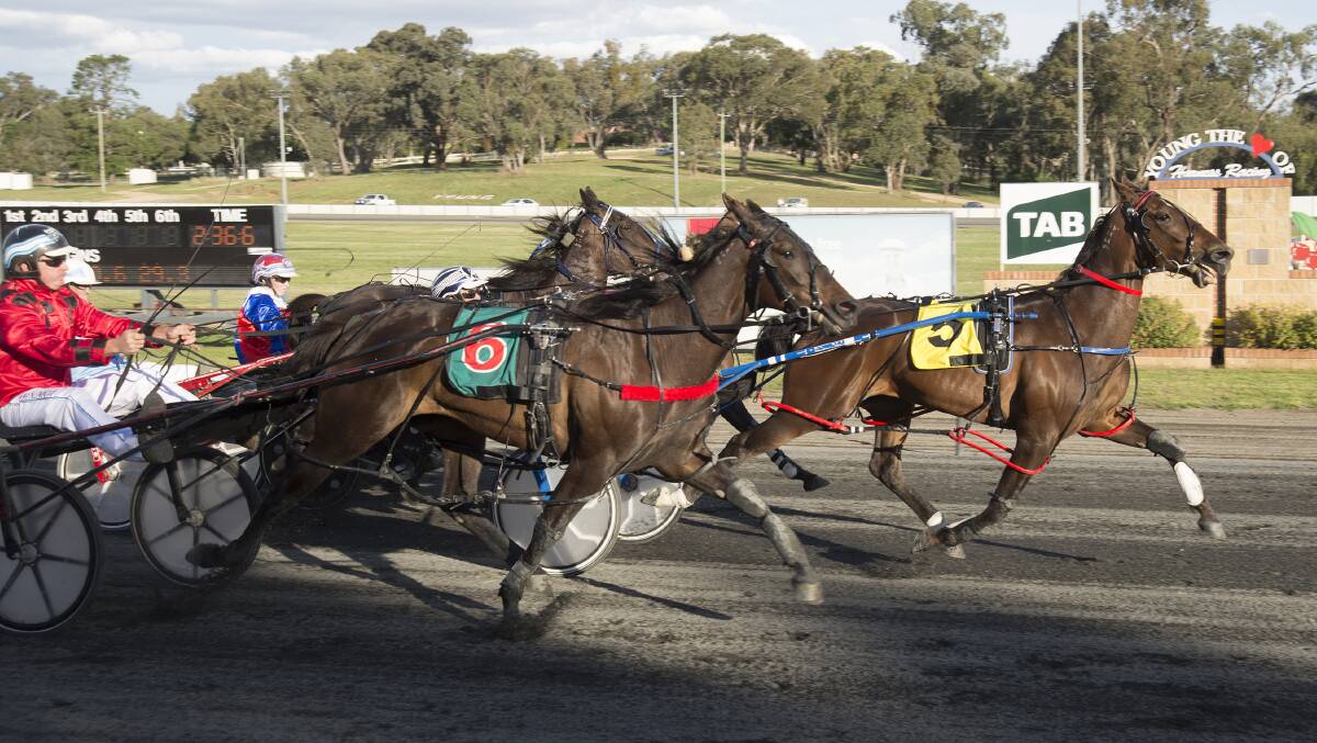 CLOSE CALL: Road to Vagas just took out his race on Friday night. Photo: Martin Langfield Photography.