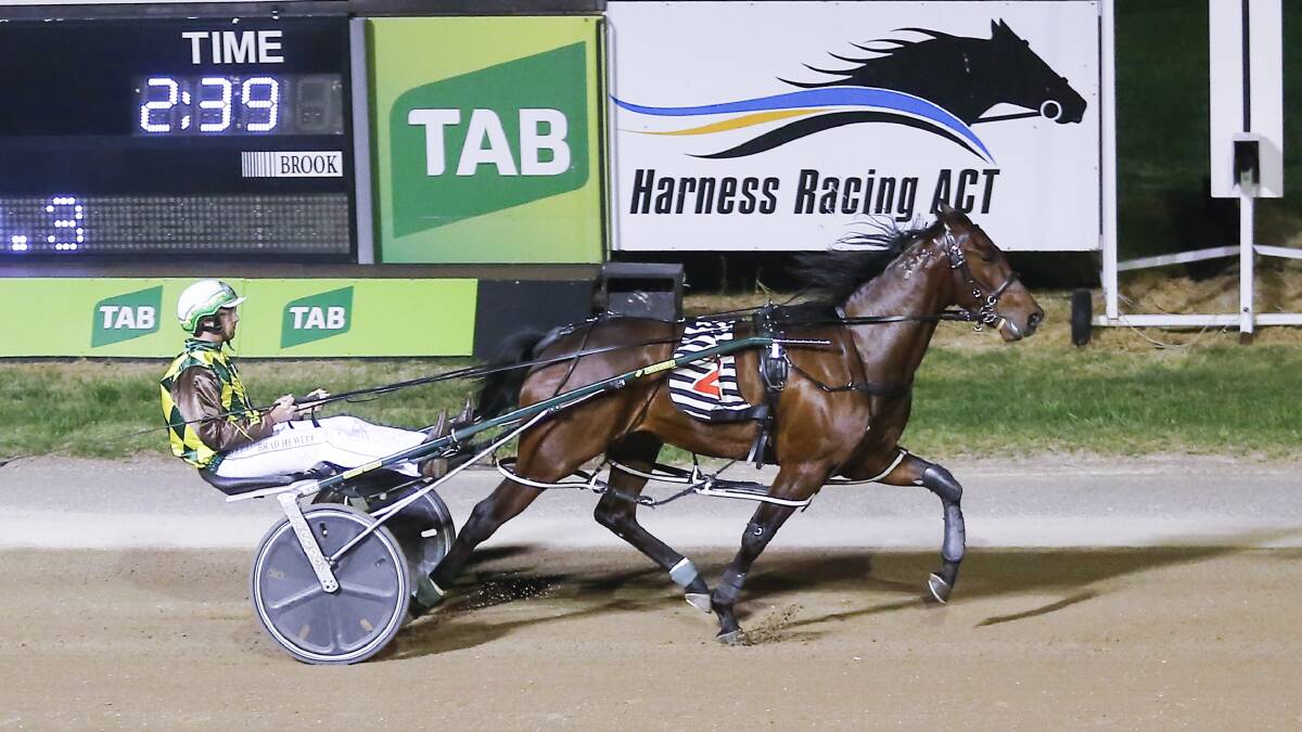 SHINE BRIGHT: Sky Diamond driven and trained by Brad Hewitt in Canberra on Monday night. Photo: Lance Fearne.