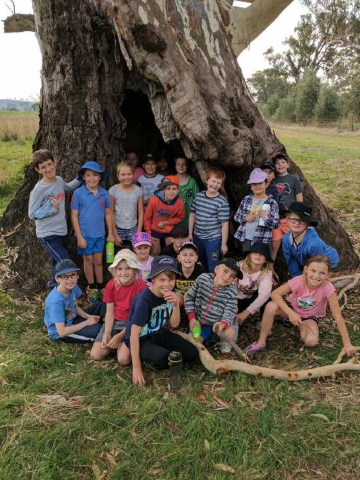 Year Four students from Young Public School enjoyed a nature walk during their trip to Borambola last week. Photo: Facebook.