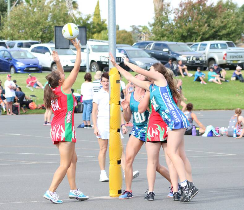 SHOOT: Young and District Netball Association's winter competition is set to start on Monday night from 6 pm at the PCYC. Photo: Amanda Langman.