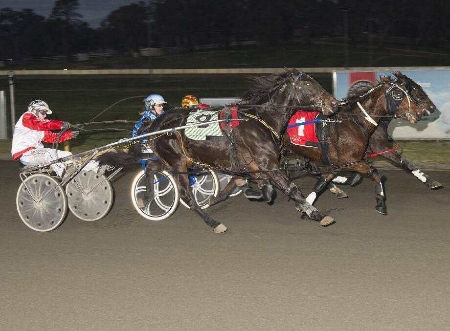 RING THE BELL: Harness racing returns to Young Paceway Tuesday night with an exciting seven race program to kick off the start of 2017.