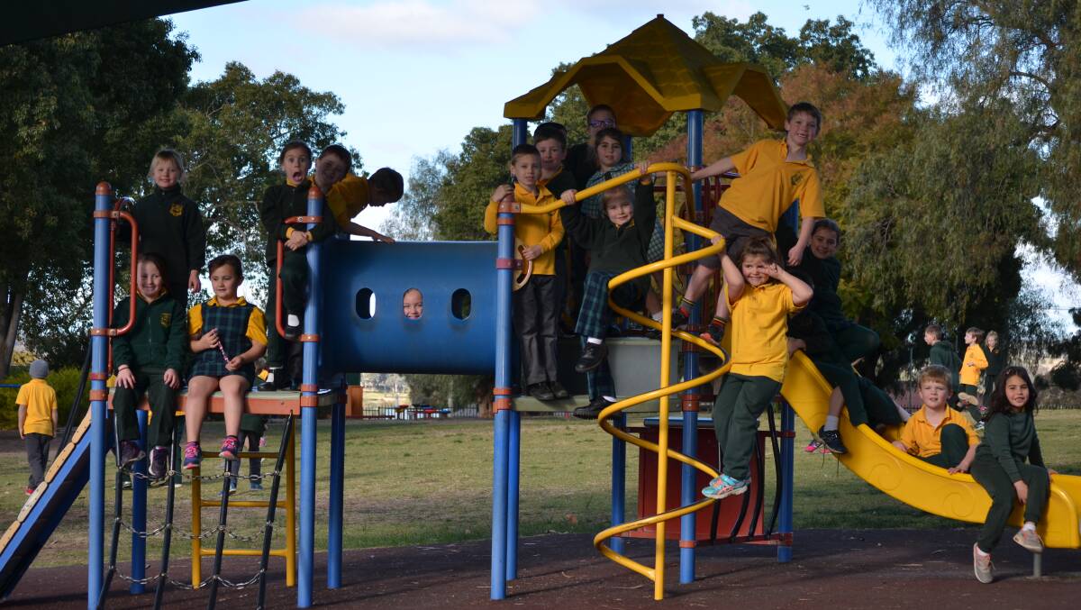 Ms Slavin's class 1S cannot wait for the new play equipment in the Young Public School infants play area. Photos: Rebecca Hewson.