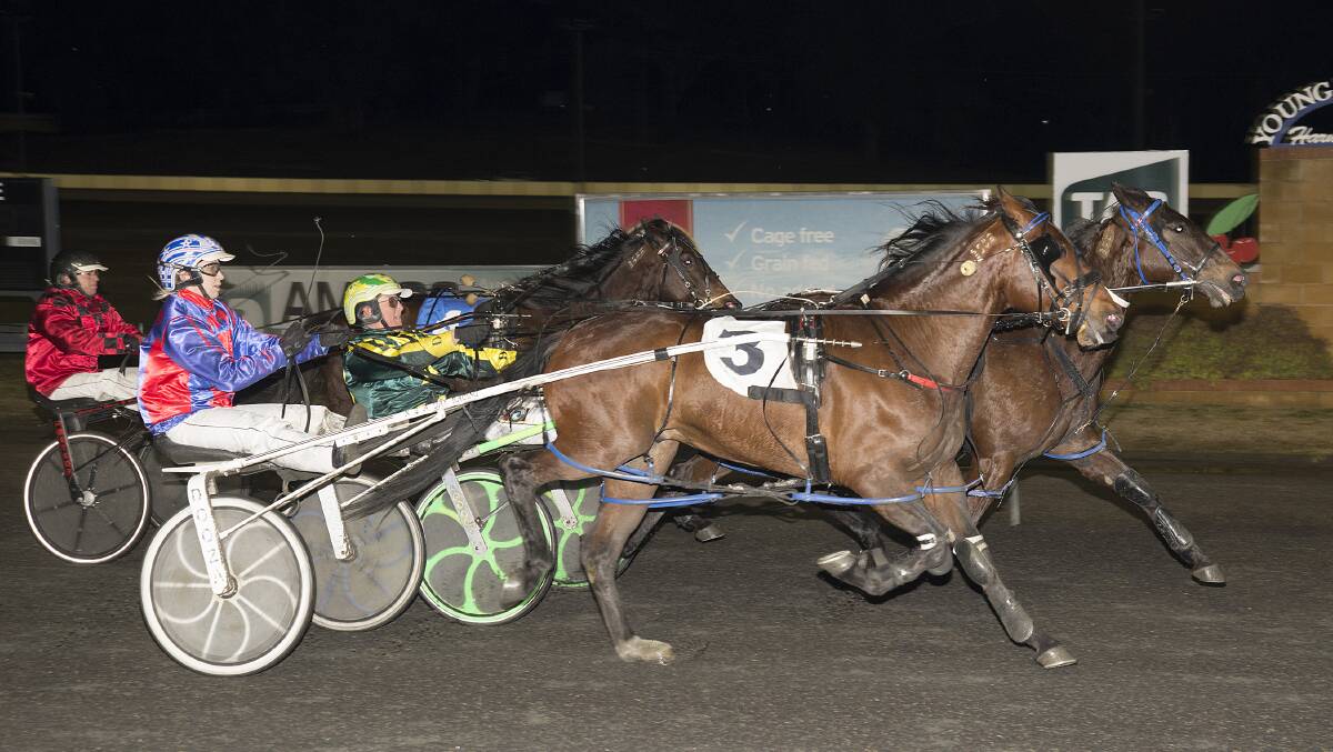 CLOSE FINISH: Crusty ended up the winner of race one on Friday night. Photo: Martin Langfield. 