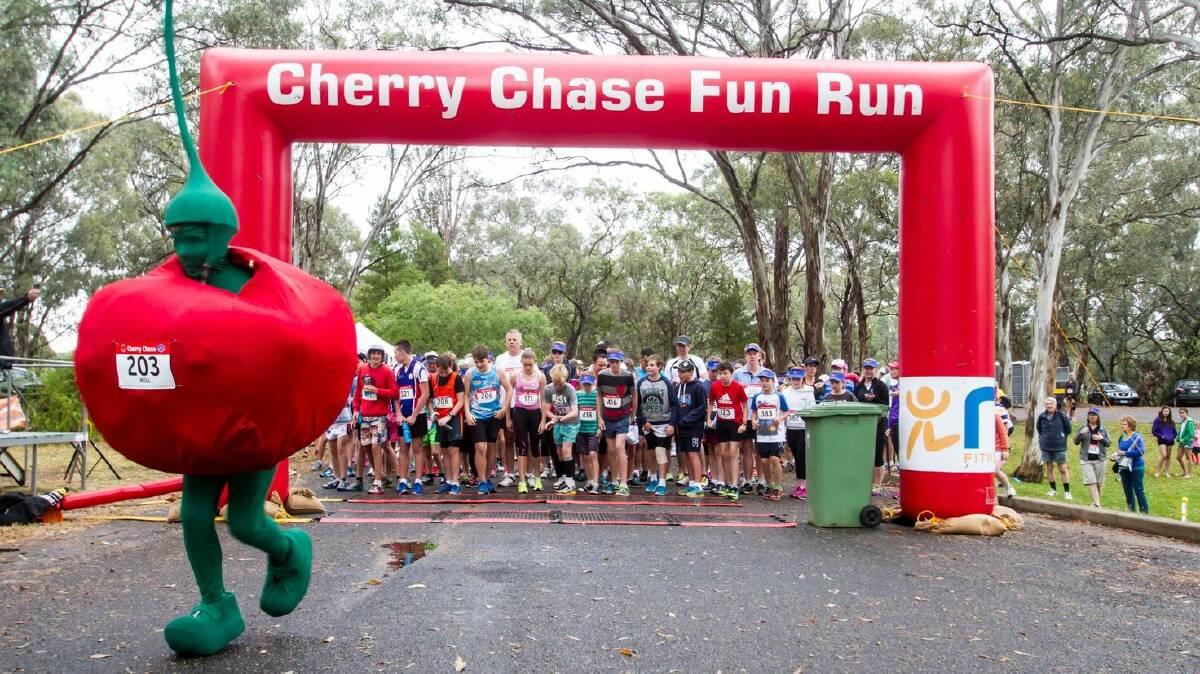 GET PIP: The 2017 Cherry Chase - Chase the Colour fun run will be held this Sunday at Chinamans Dam. Photo: Supplied.