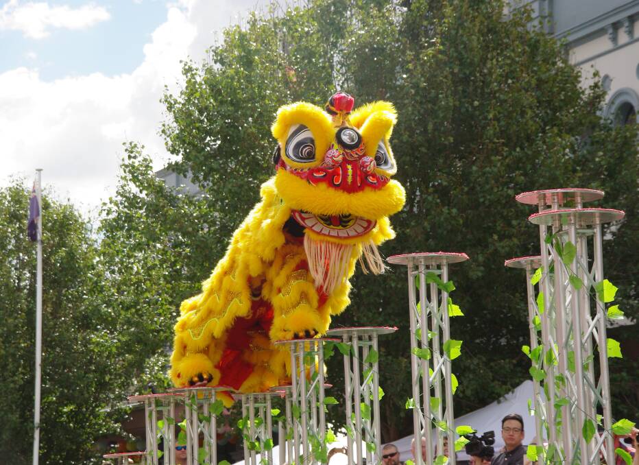 FESTIVAL LEAPS INTO TOWN: The Lambing Flat Chinese Festival was held on the weekend with the ever popular dancing lions on display. Photo: Rhys Henman.