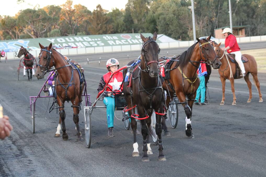 Loss: Young Harness Racing club could lose meetings. Photo: A Langman.