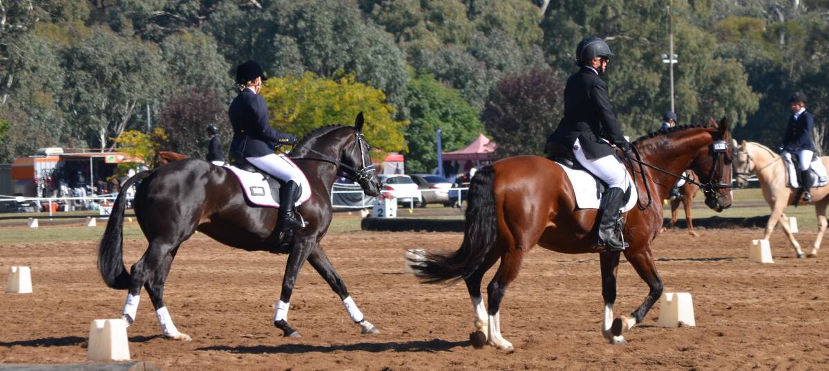 IN THE ARENA: Young Dressage Association have organised their next competition for in July. Photo: Rebecca Hewson.