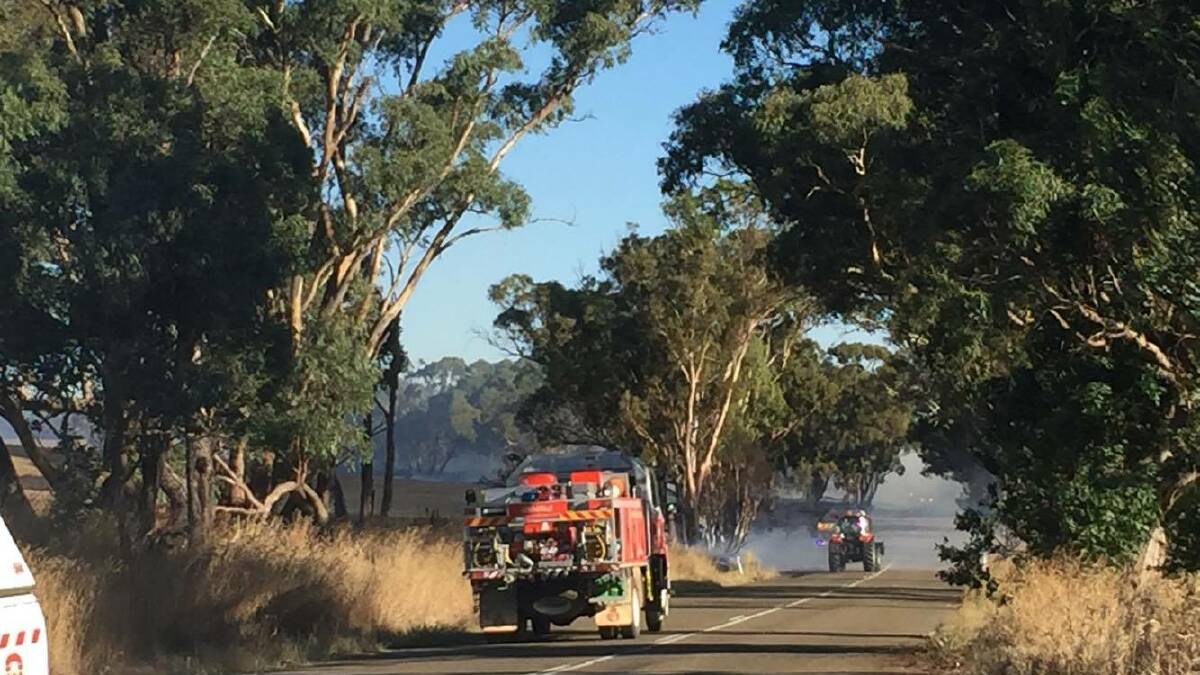 Tree fire on Golden Grove Road