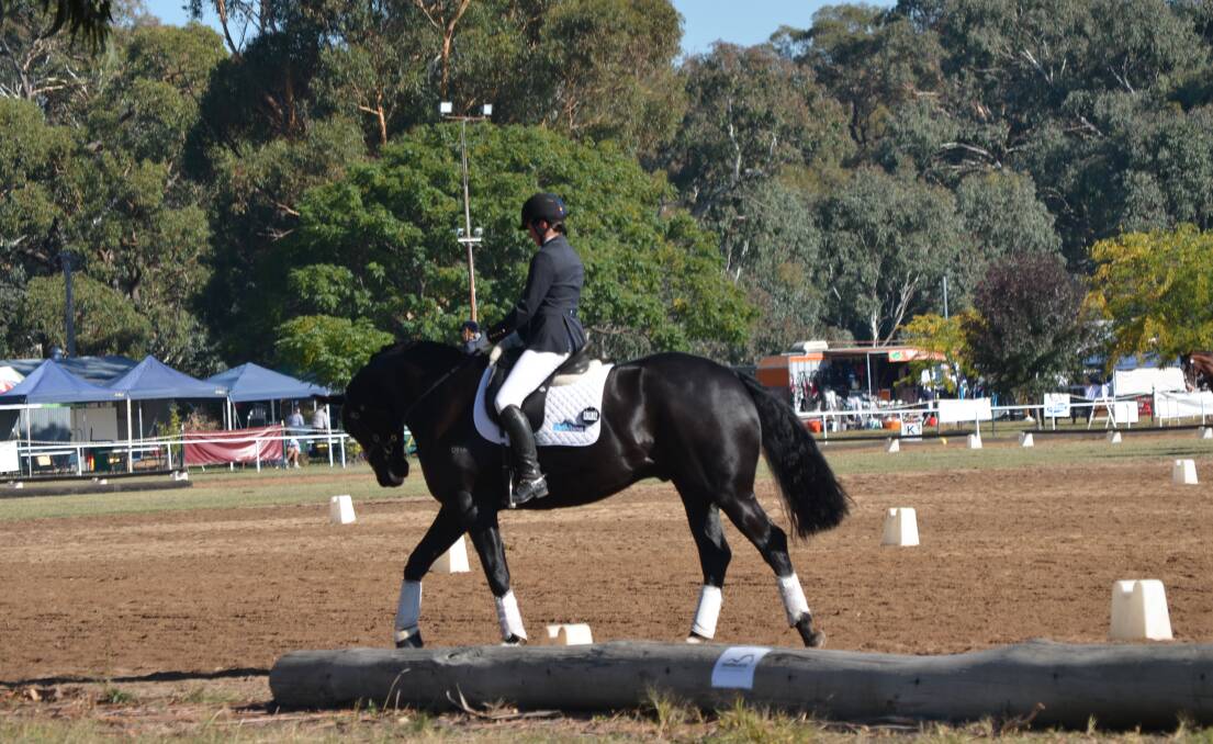 Young Dressage Association comp this weekend.
