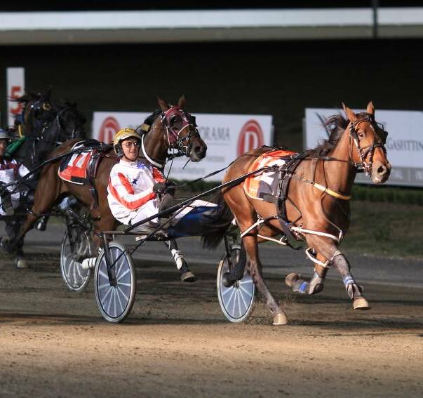 DON'T THINK TWICE: The locally owned pacer has drawn the front row as she contests the NSW Oaks for 3-year-old fillies at Menangle this Saturday night.