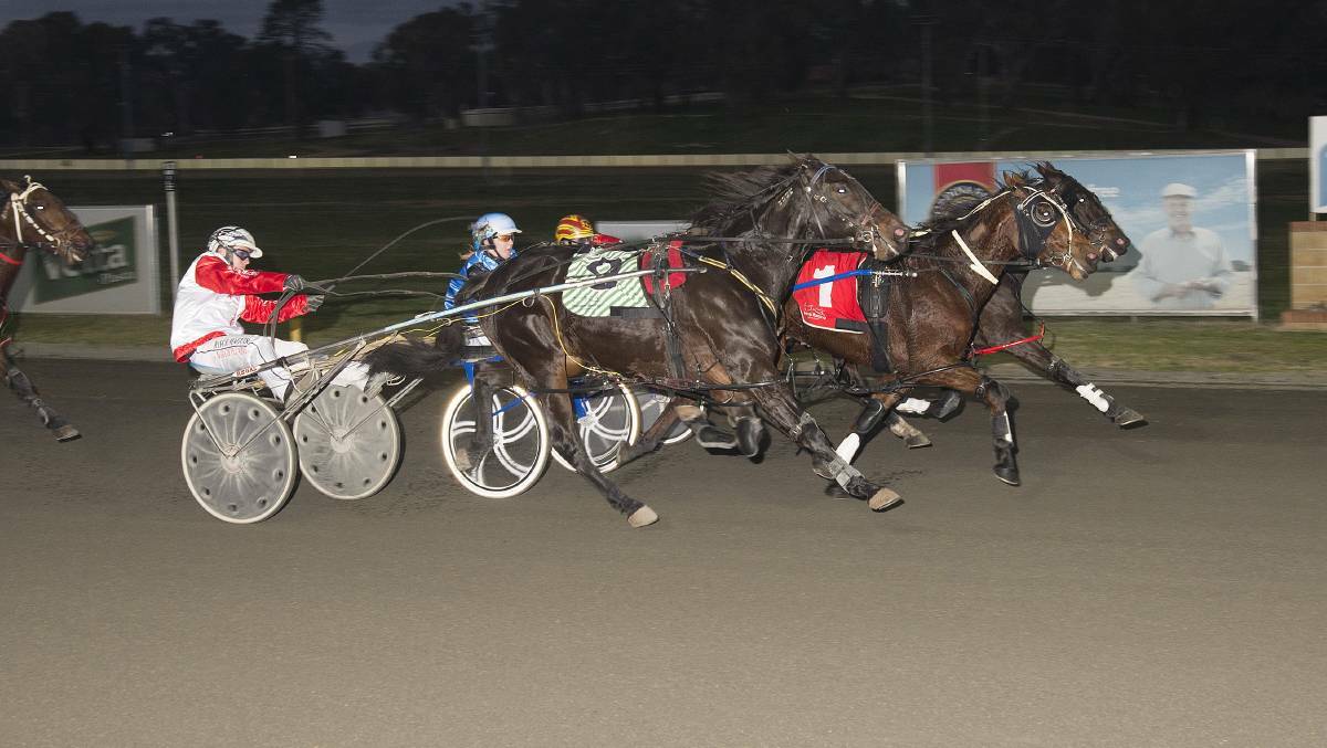 READY TO GO: Racing returns to Young Paceway Friday night with a ten race meeting.