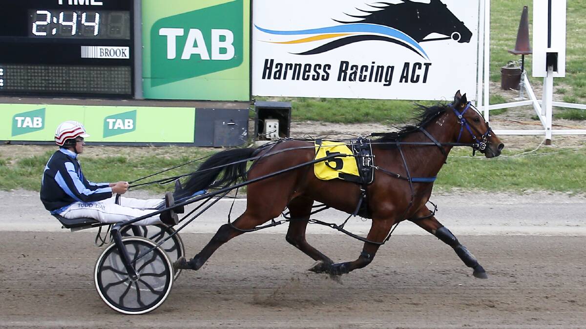 BIG MARGIN: Topsie Grinner driven by Todd Day was the winner of race one at Canberra on Monday night. Photo:  Lance Fearne.
