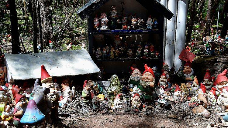 Overcrowding in Gnomesville is a concern. Photo: Nina Smith