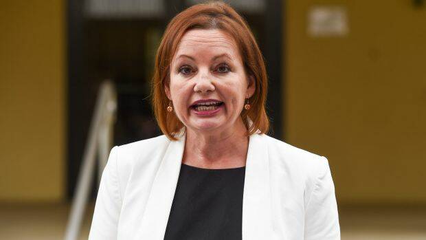 Sussan Ley has been forced to stand aside pending an investigation into her expenses. Photo: Mark Jesser
