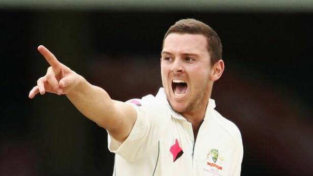 Josh Hazlewood: On the front foot. Photo: Getty Images
