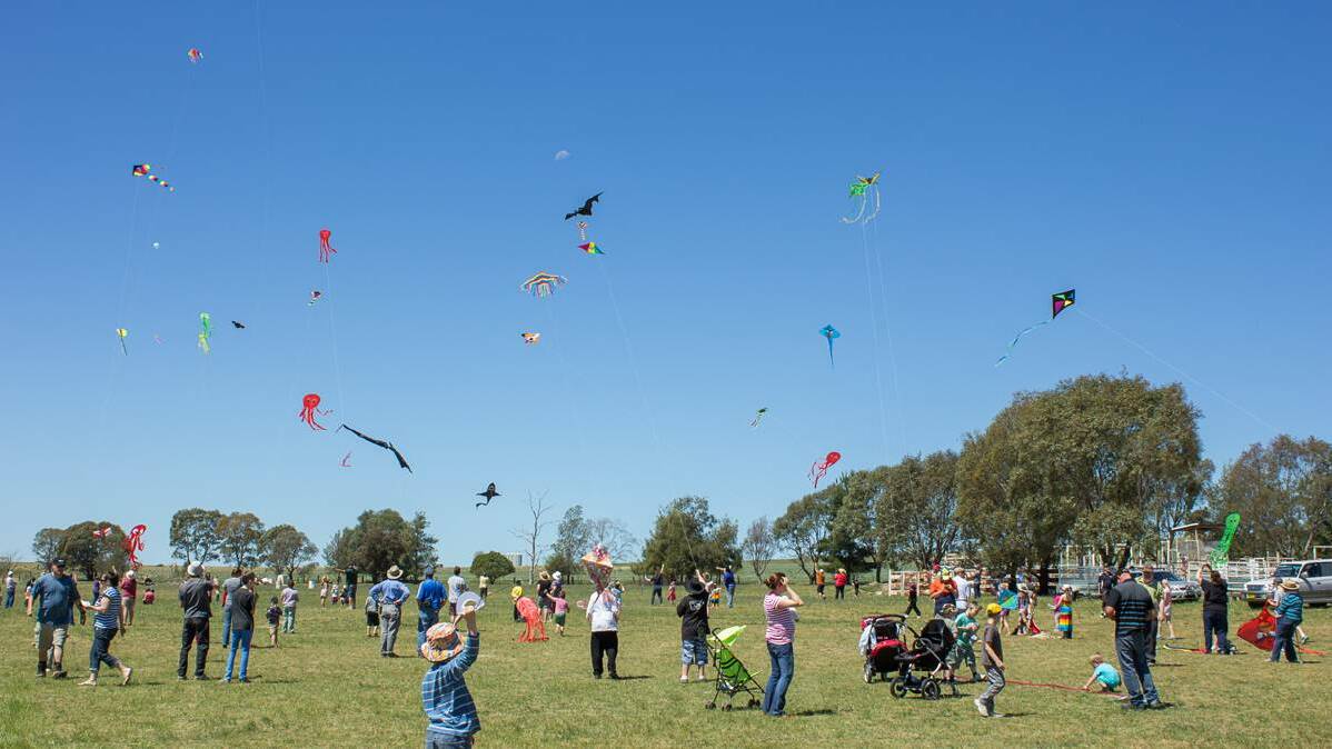 Let’s go fly a kite at Harden