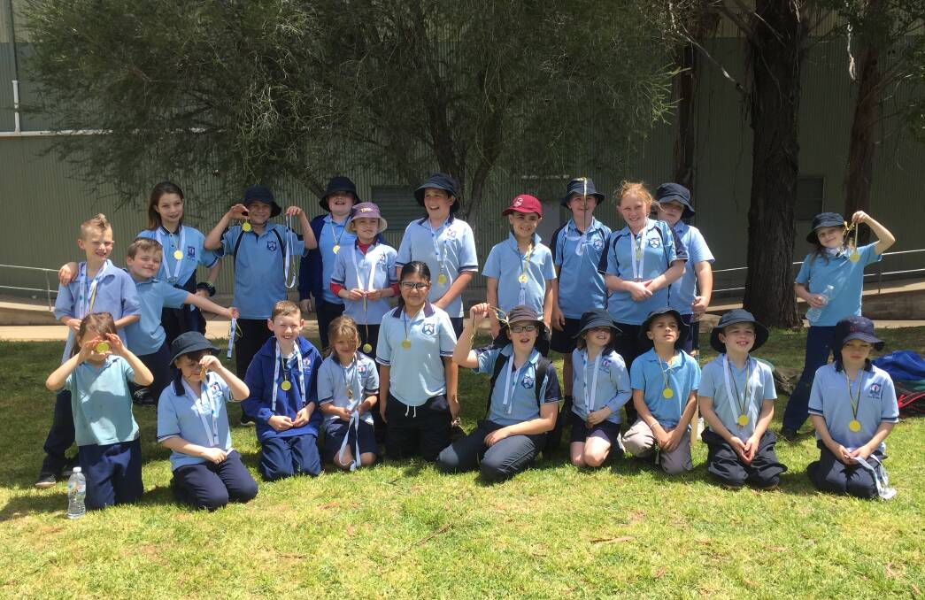 DREAM CRICKET: Young North Public School students were among the many who enjoyed the annual Dream Cricket day.
