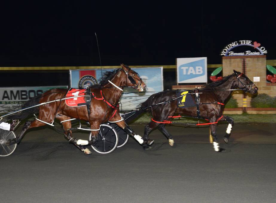 MEMORABLE: A photo finish of Mat Rue who drove his 100th winner behind two-year-old Pretty Hot at the Young paceway earlier this month. Photo: Martin Langfield Photography