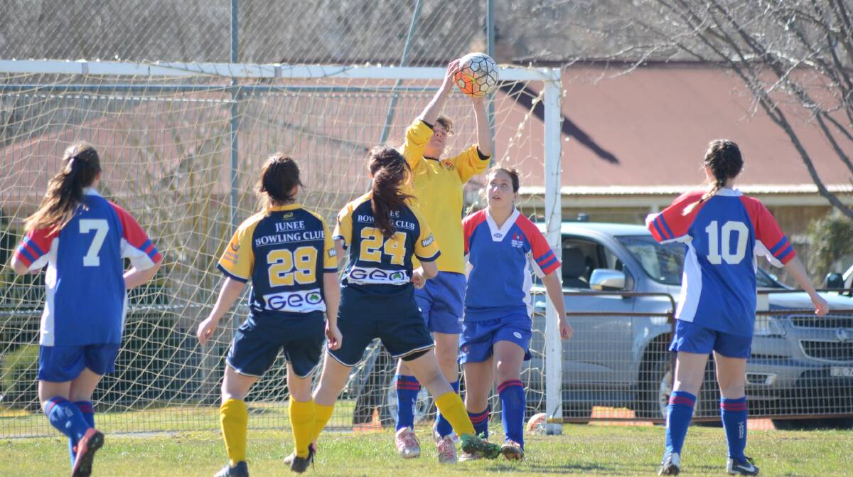 Young Lions Soccer Club women's division.