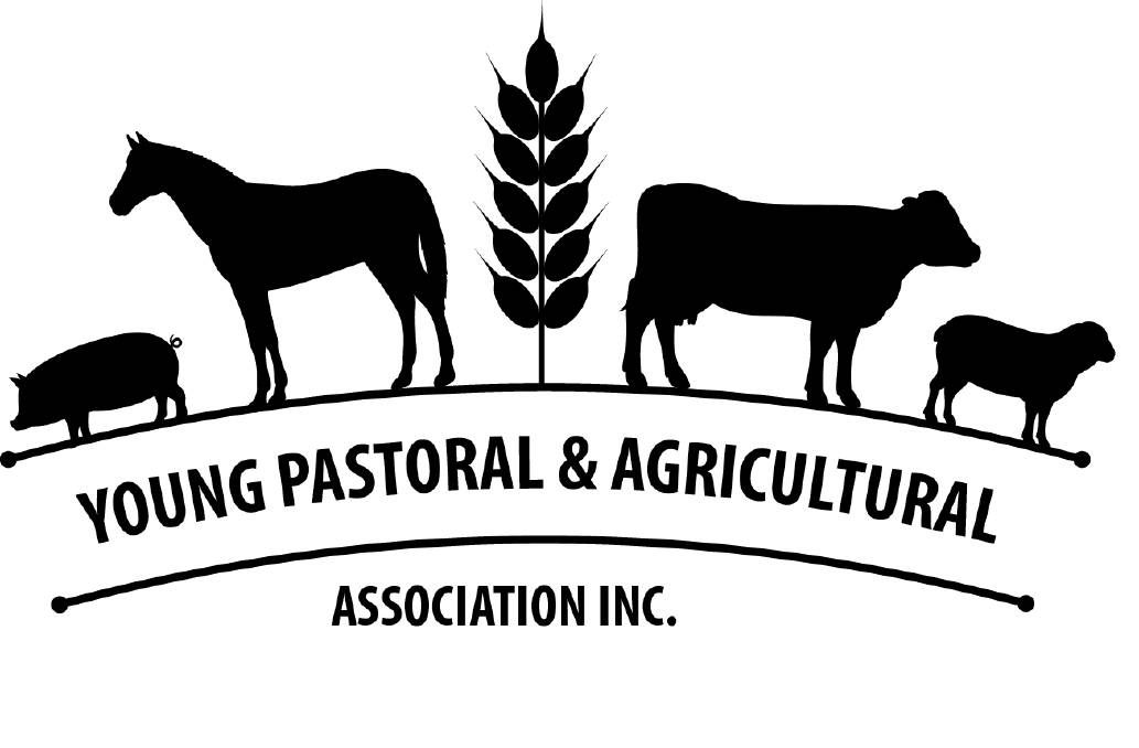 COLUMN: Welcome to the Young Pastoral & Agricultural Association's December column.