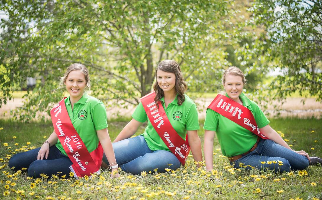 ENTRANTS: 2016 Cherry Queen entrants Jemma Long, Jacqui Everdell and Hayley Dwyer will take part in Young’s 67th National Cherry Festival. Photo: Chontelle Perrin Photography 
