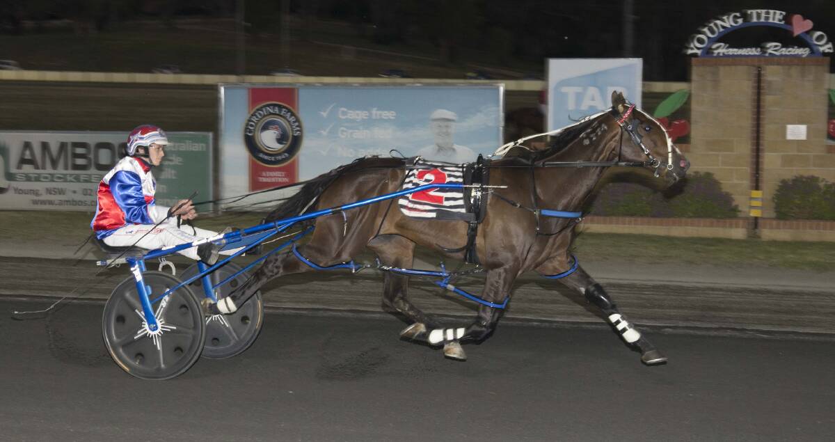 CUP: Amanda Turnbull-driven, Parramatta, led the field in the Cherry Festival Cup at the Young Paceway on Friday night. Photo: Martin Langfield