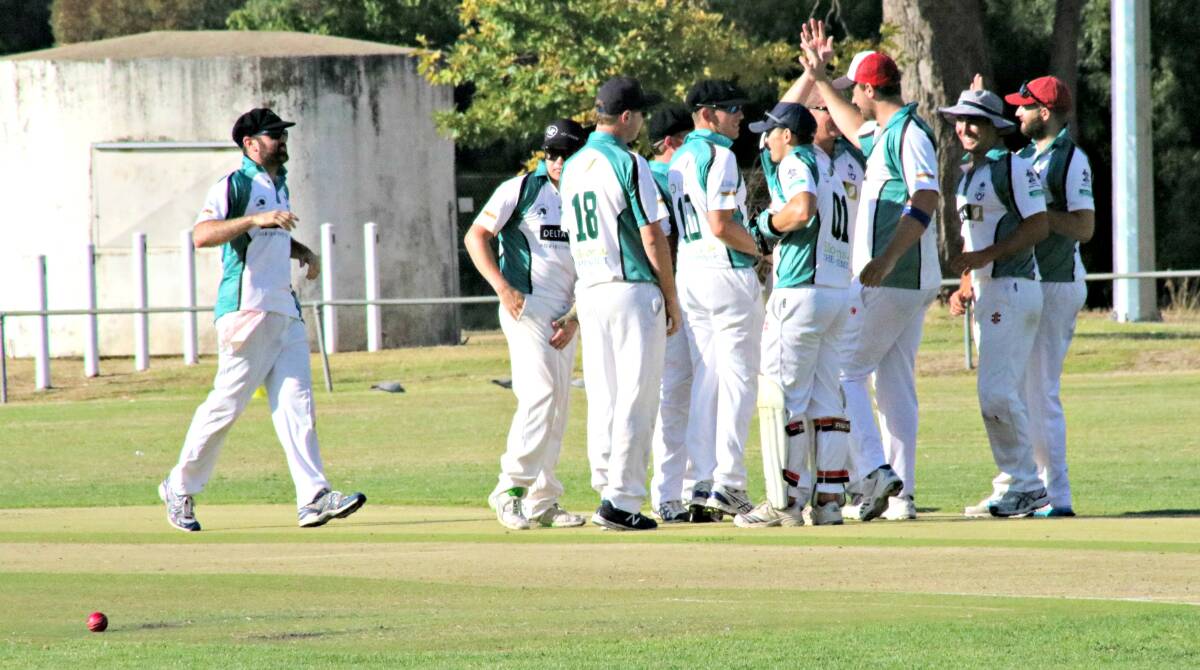 Howzat?:The Aussie Hotel Coyotes celebrate a wicket on their way to a convincing division one Grand Final victory. Picture: Amanda Langman.