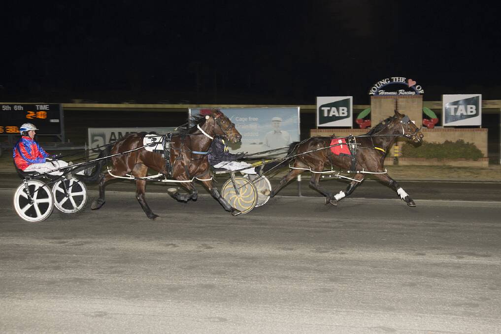 Race 5 finish with Resounding greeting the judge ahead of Lucky Lyla at Young Harness racing meeting on Friday July 7.