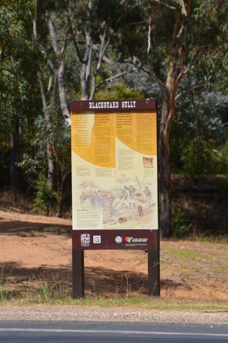 Input: Hilltops council will seek community input into their Conservation Management Plan for Blackguard Gully. Picture: Rebecca Hewson.