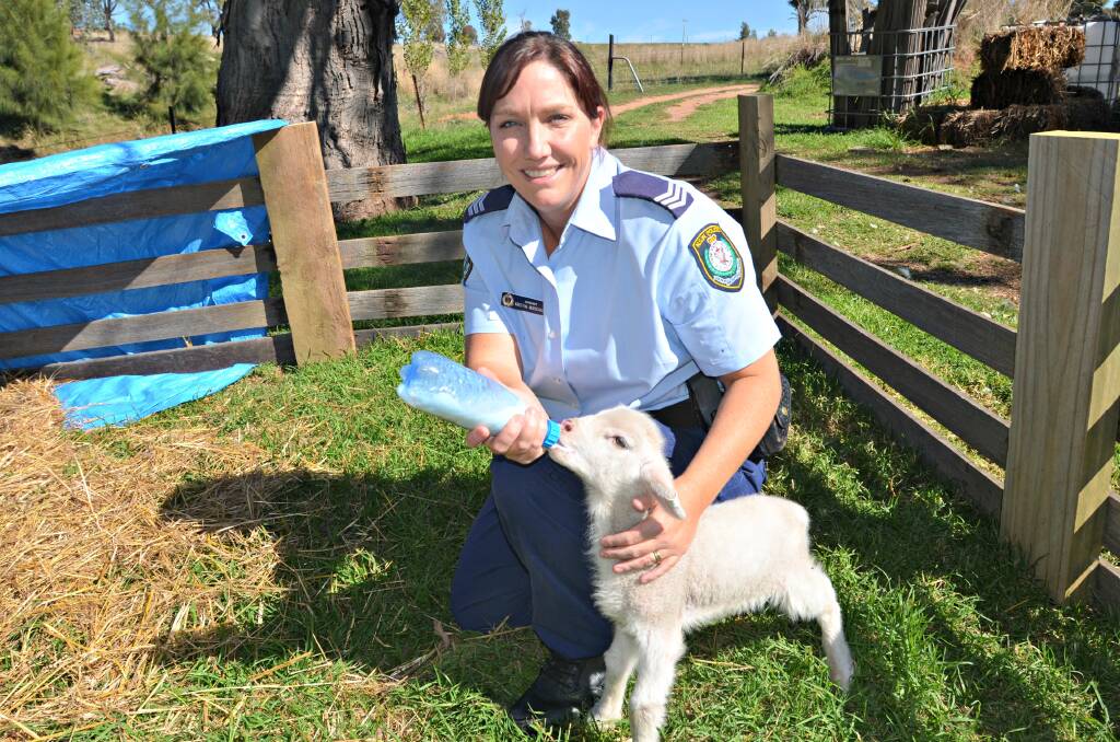 ENJOYING YOUNG LIFE:  Acting Inspector Kristin Marshall on her farm feeding her lamb. Picture: Craig Thomson.