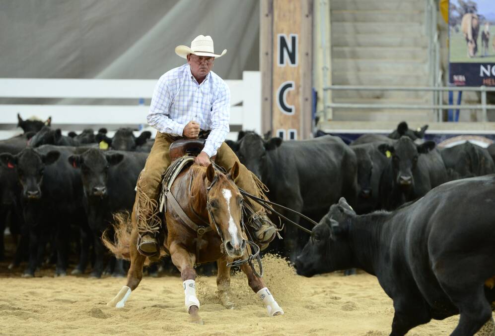 NATIONAL CUTTING CHAMP: Local trainer Richard Webb on Tell Im Slick during the National Finals in Tamworth. 