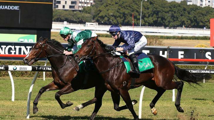 On trial: Josh Parr guides Almalad (green) while Tommy Berry pilots Valentia in an exhibition gallop at Randwick on Saturday. Photo: Anthony Johnson/Getty Images