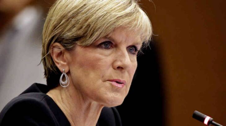 Foreign Minister Julie Bishop says the Turnbull government does not necessarily agree with every element of the statement signed in Paris. Photo: Andrew Meares