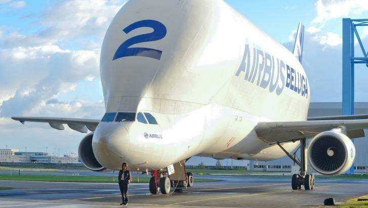 The Airbus Beluga, named for its similarity in shape with the beluga whale. Photo: Airbus