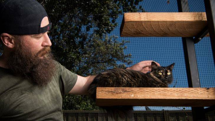 Matt Black of Parramatta, pictured here with Isis, keeps his cats in a purpose built cat enclosure in his backyard. Photo: Wolter Peeters
