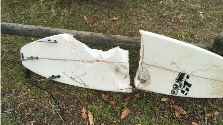 This is what was left of the surfer's board.  Photo: Supplied