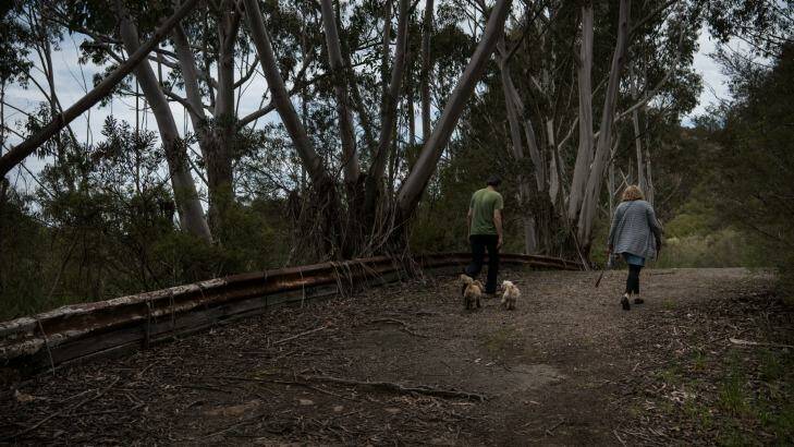 Remnants of Catalina Park, an abandoned motor racing circuit in Katoomba. Photo: Wolter Peeters