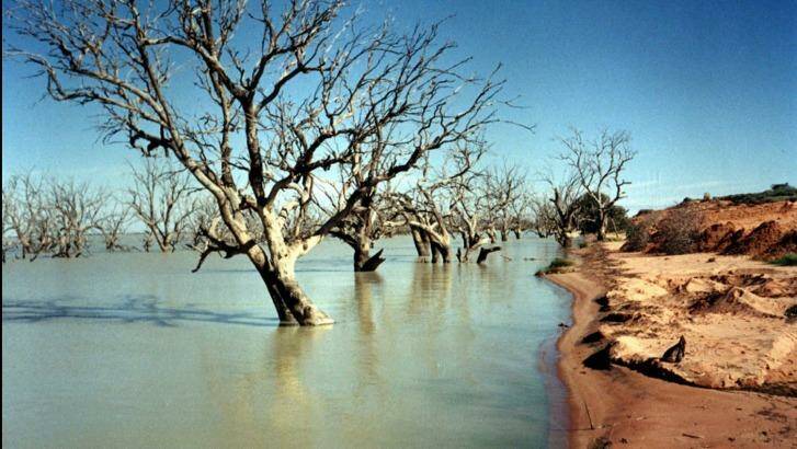 Menindee Lakes, about 100 kilometres from Broken Hill. Photo: Peter Rae