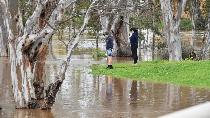 Residents check out floodwater in the riverside Victorian town of Charlton, which was at 7.51m on Saturday morning. Photo: Joe Armao
