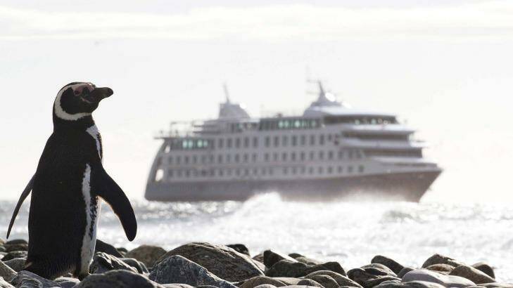 Australis cruises the bottom of the world. Photo: Supplied