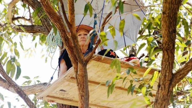 Steffi Leedham protesting in one of the trees. Photo: James Brickwood