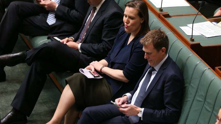 Cabinet minister Kelly O'Dwyer has been blamed for the bungle. Photo: Andrew Meares