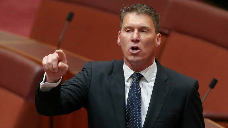 Liberal senator Cory Bernardi has accused the government of "ripping the scab" off old debates. Photo: Alex Ellinghausen