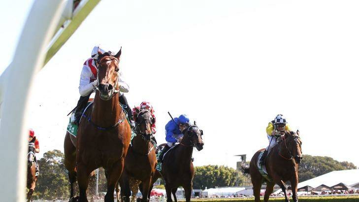 Too strong: The highly touted Deep Field scores at Randwick. Photo: Anthony Johnson
