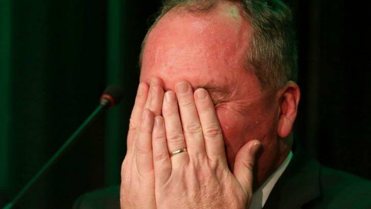 Agriculture Minister Barnaby Joyce reacts as Deputy Prime Minister Warren Truss speaks about the dogs, Pistol and Boo. Amber Heard, wife of Johnny Depp, has been charged with illegally importing the dogs into Australia. Photo: Alex Ellinghausen