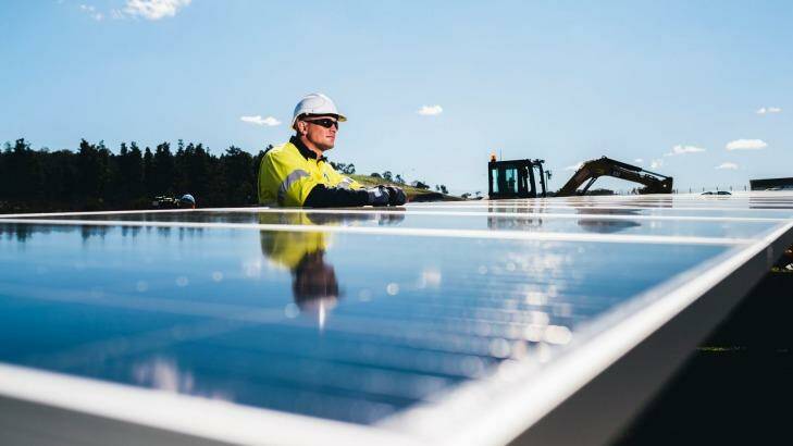 Commercial-scale solar is driving the industry in Australia. Photo: Rohan Thomson