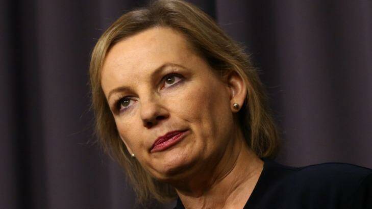 Health Minister Sussan Ley said she was meeting patients on the Gold Coast to discuss access to new medicines when she also bought a $795,000 home.  Photo: Andrew Meares