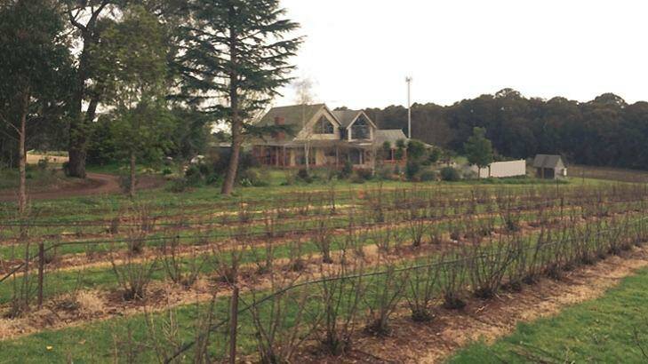 The Tromp family's expansive home in Silvan.   Photo: Tom Cowie
