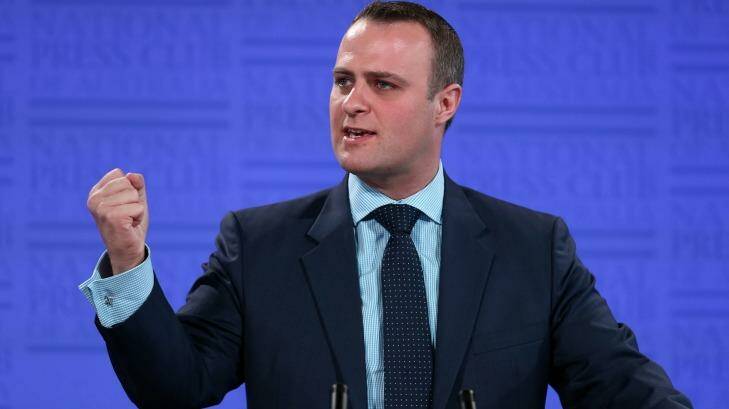 Human Rights Commissioner Tim Wilson will not seek Liberal preselection in Victoria. Photo: Alex Ellinghausen