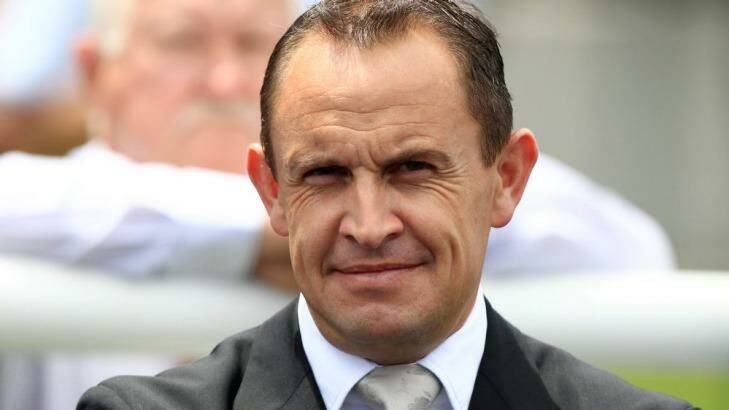 Mile master: Trainer Chris Waller is now looking forward to the big races at Randwick on Saturday. Photo: Jenny Evans